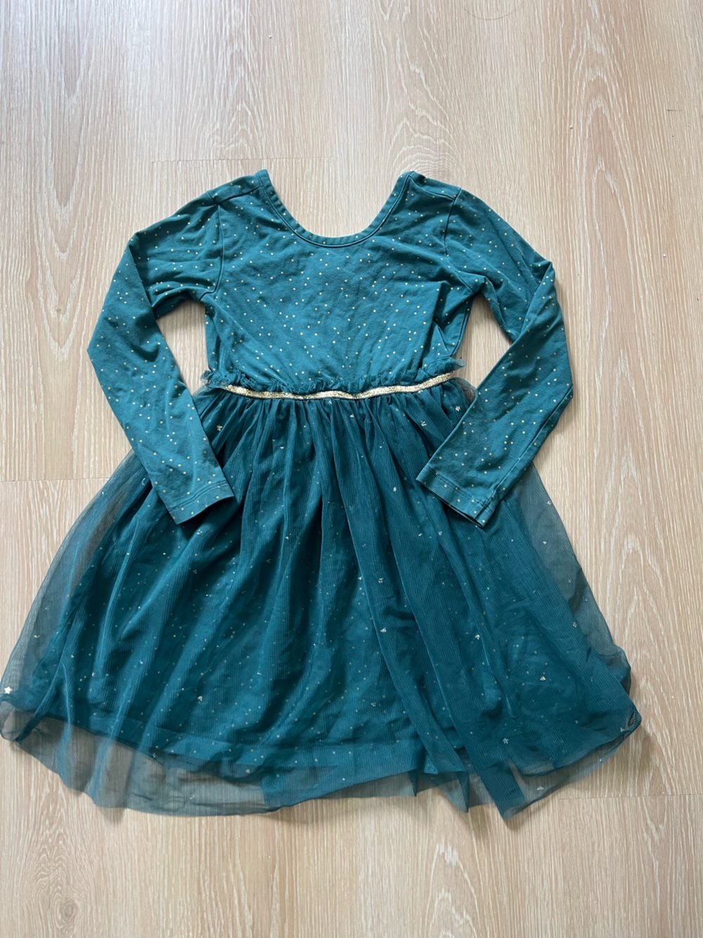 Hanna Andersson Super Soft Shimmer Tulle Skater Dress